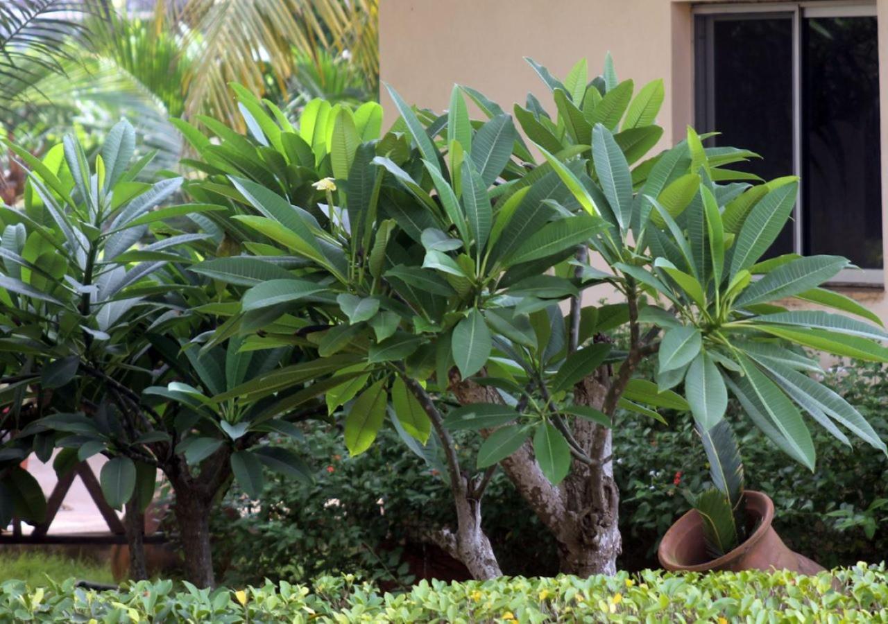 Cocobeach-Hotel Lomé Esterno foto