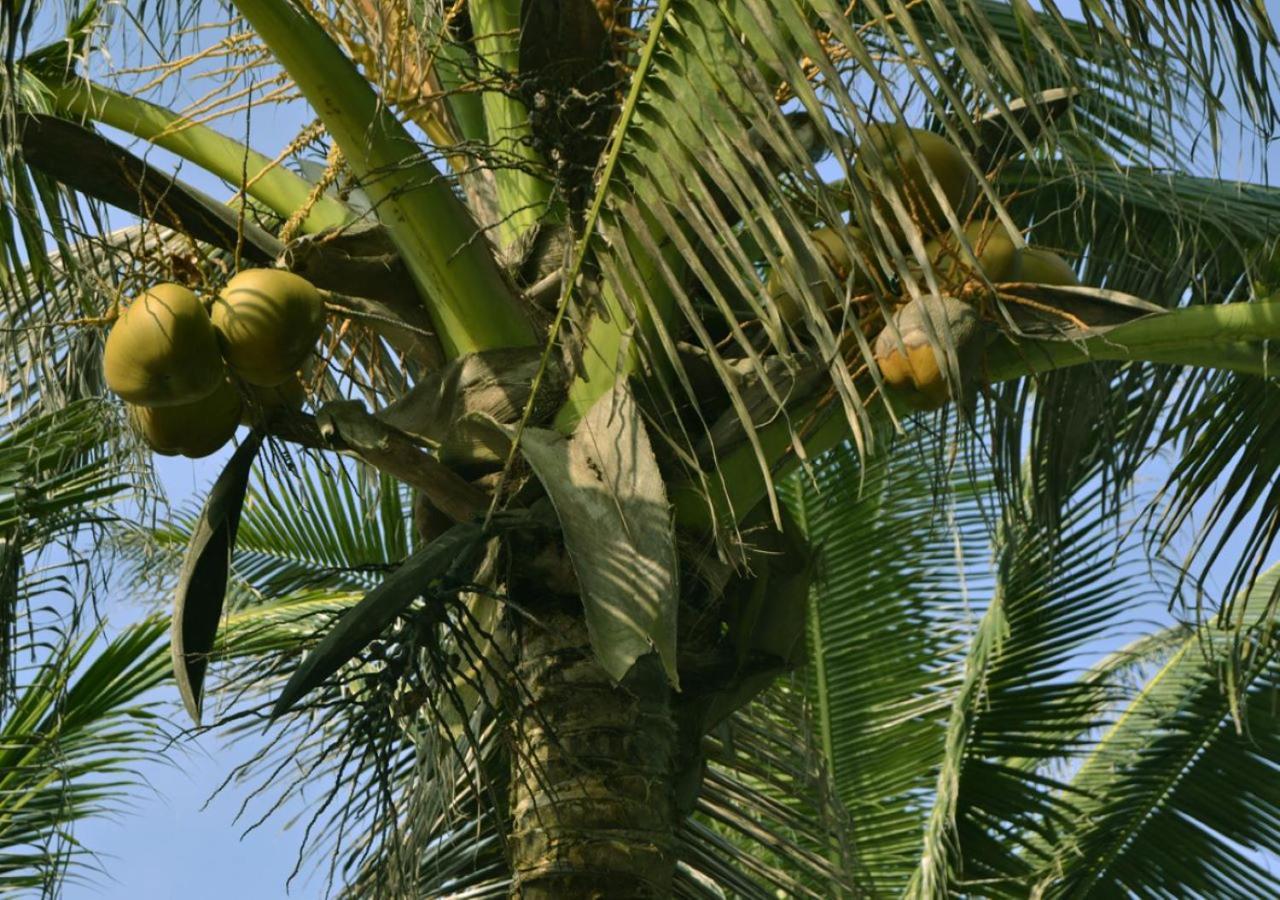 Cocobeach-Hotel Lomé Esterno foto